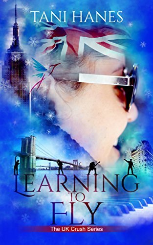 Learning to Fly cover